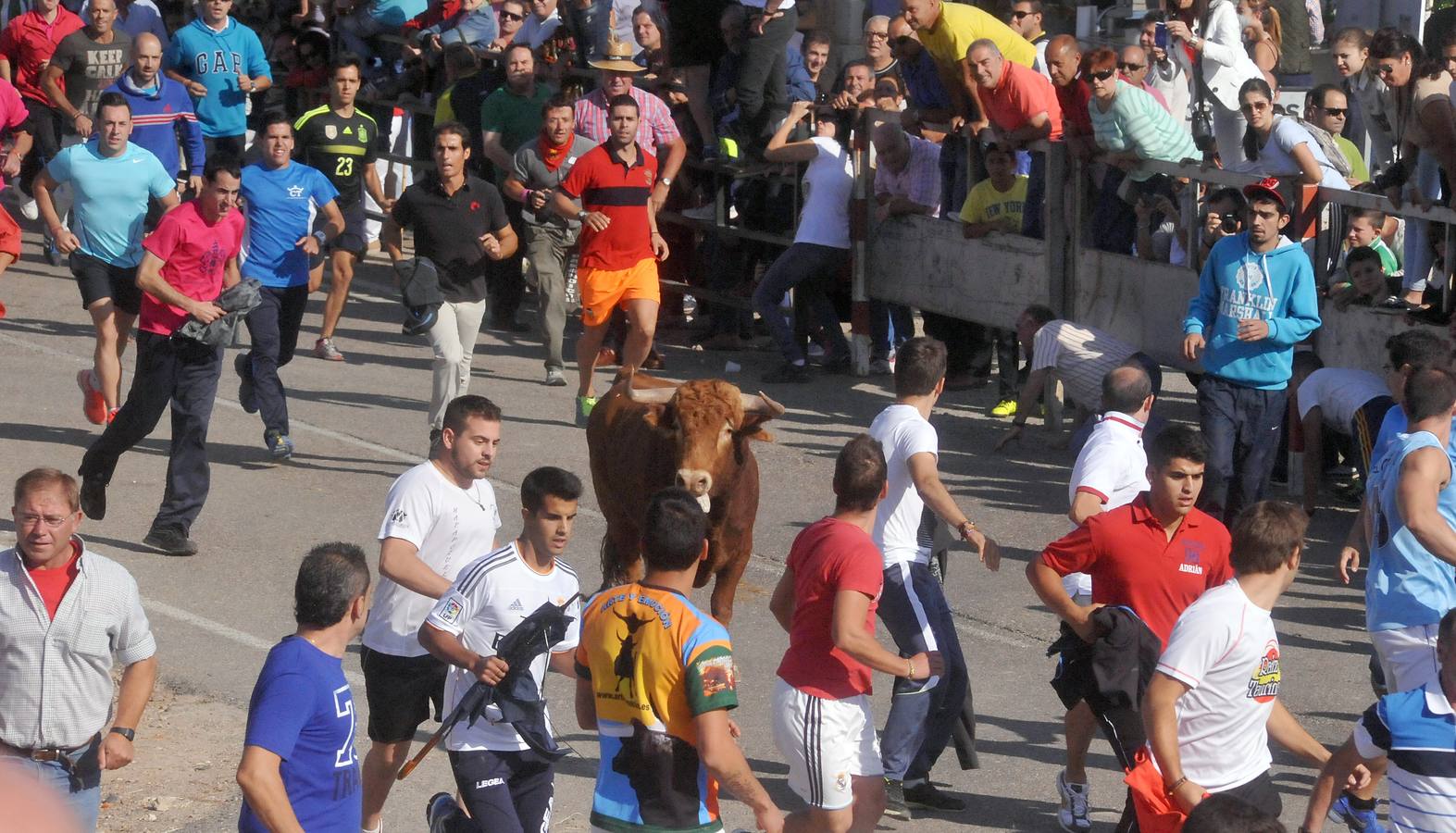 Tercer encierro de las Fiestas de Olmedo 2015