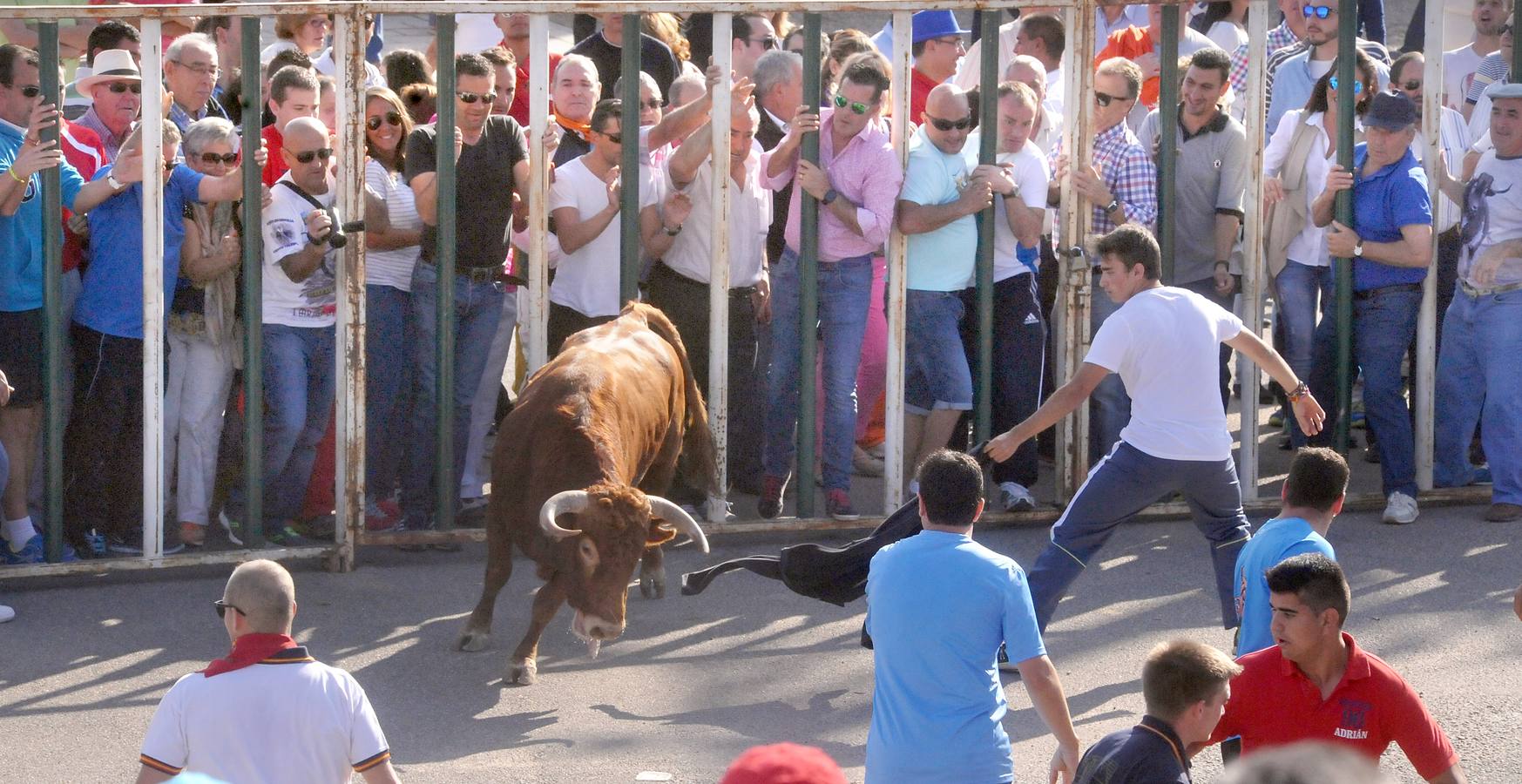 Tercer encierro de las Fiestas de Olmedo 2015