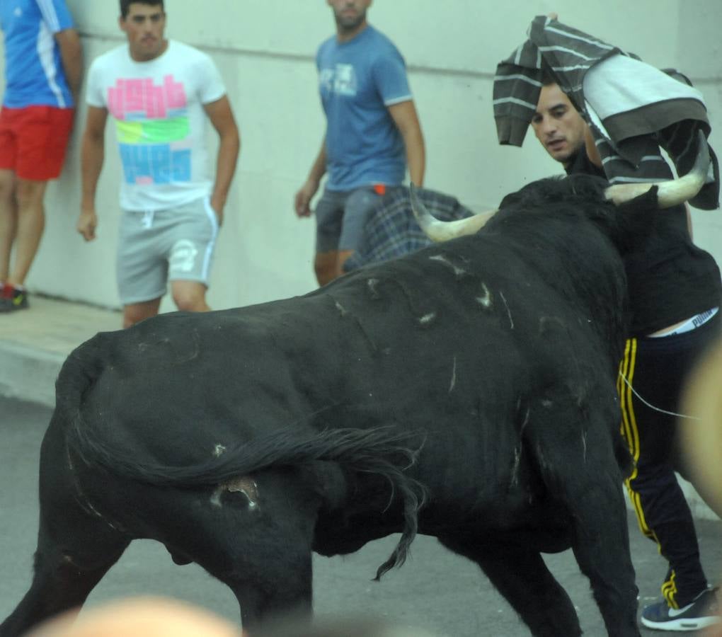 Último encierro de la fiestas de Olmedo 2015