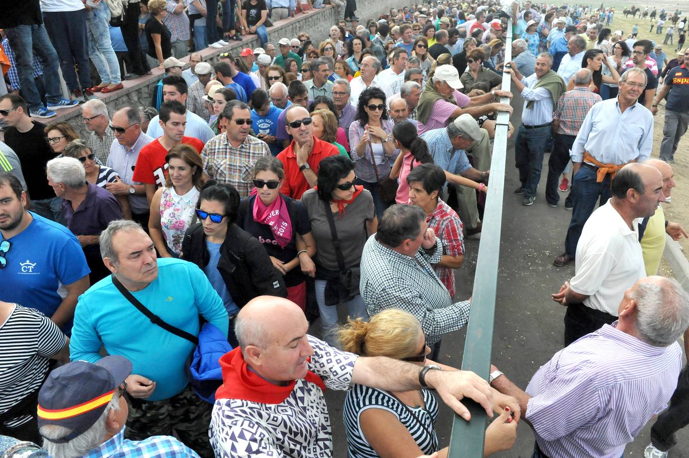 Último encierro de la fiestas de Olmedo 2015
