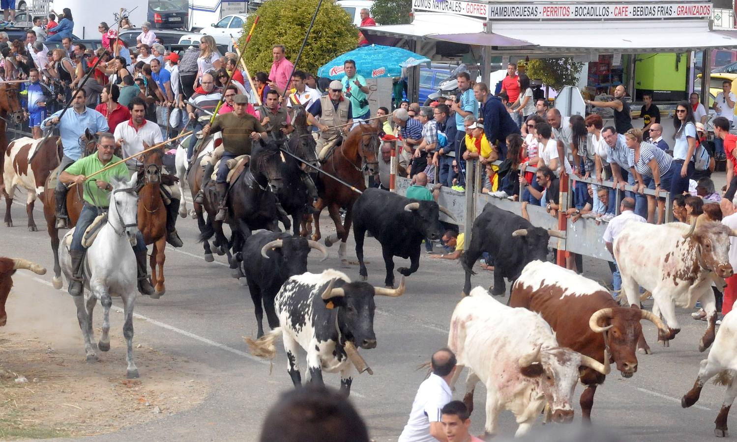 Último encierro de la fiestas de Olmedo 2015