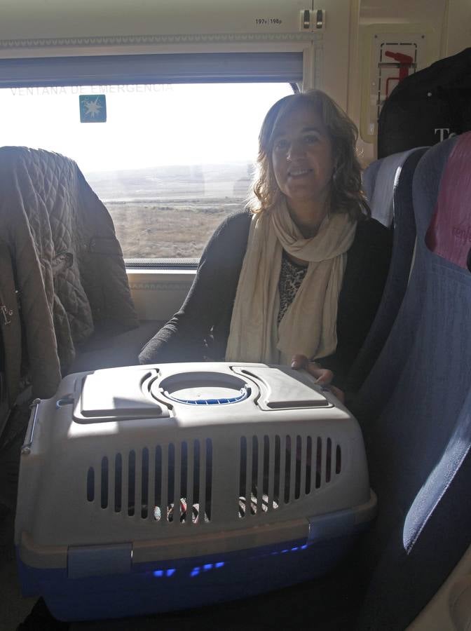 Primer viaje comercial del Ave León-Madrid