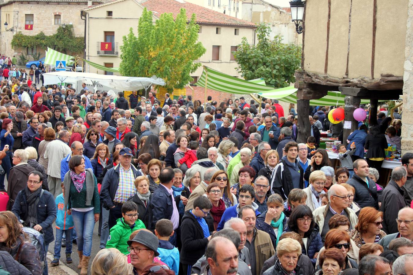 XII Feria de la Cebolla Horcal de Palenzuela (Palencia)