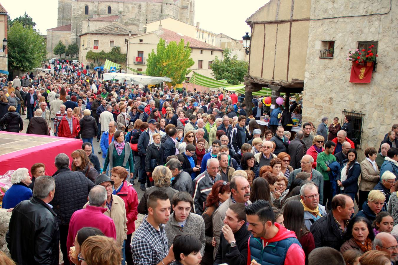 XII Feria de la Cebolla Horcal de Palenzuela (Palencia)