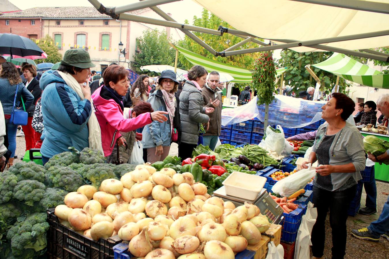 XII Feria de la Cebolla Horcal de Palenzuela (Palencia)