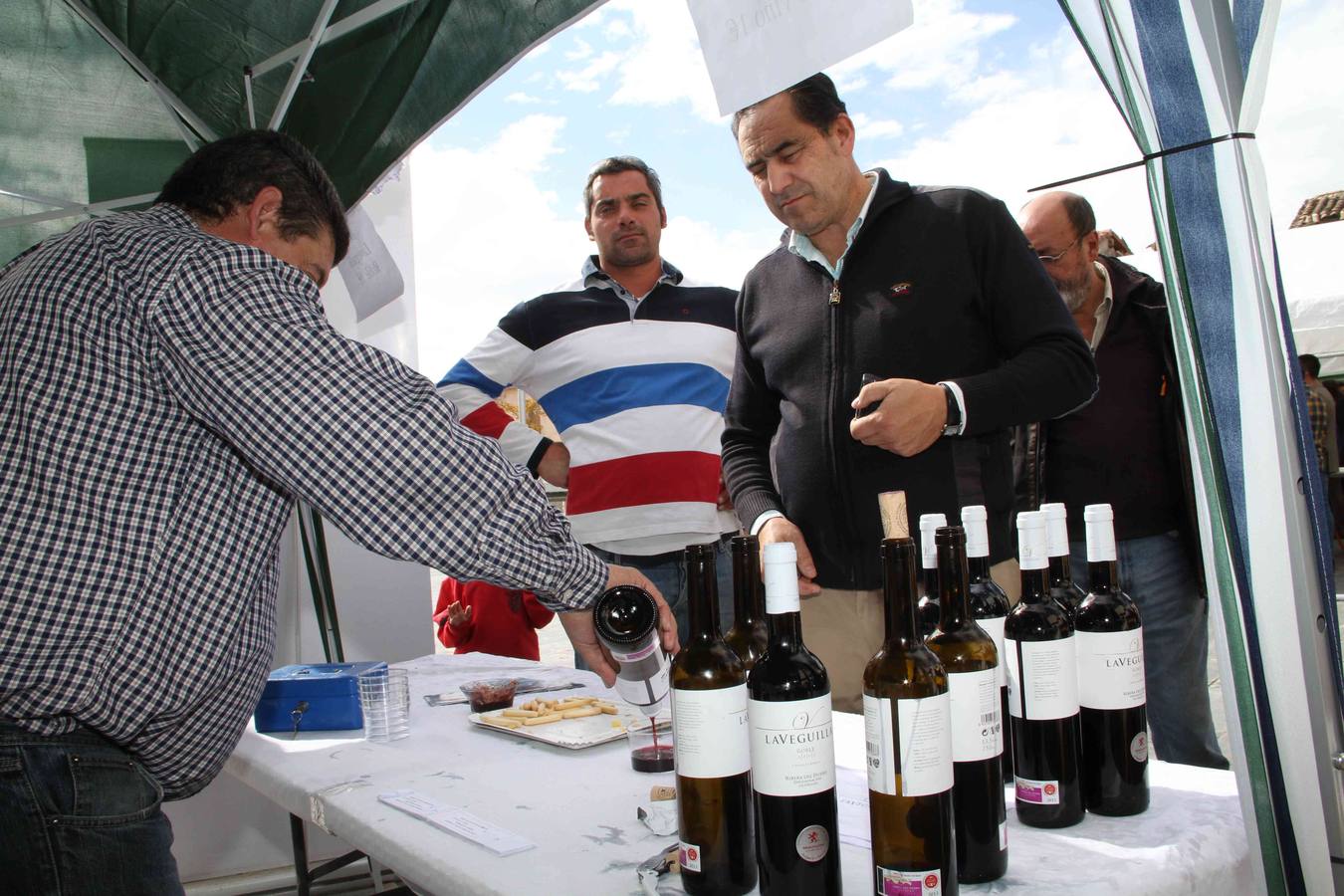 VII Cata popular de quesos en Sardón (Valladolid)