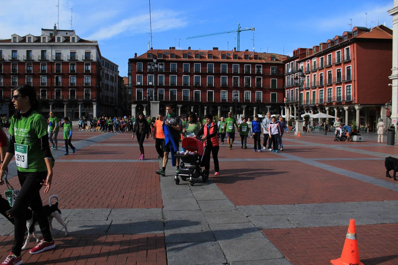 Marcha Contra el Cáncer 2015. Valladolid 19