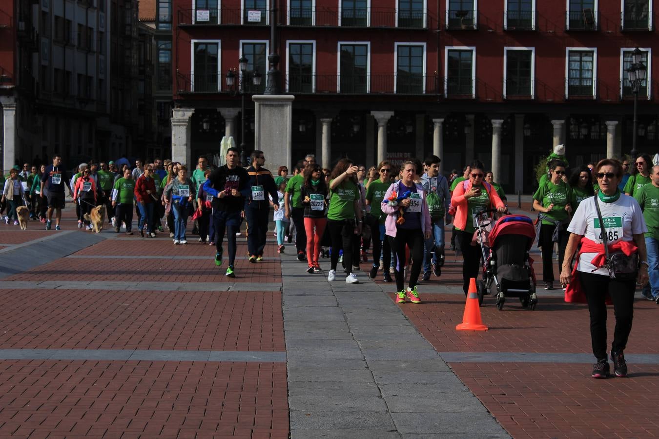 Marcha Contra el Cáncer 2015. Valladolid 19