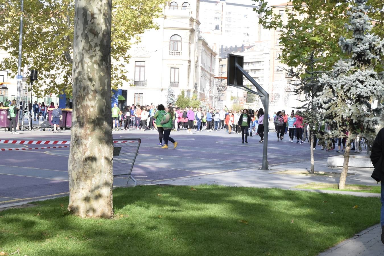 Marcha Contra el Cáncer 2015. Valladolid 3