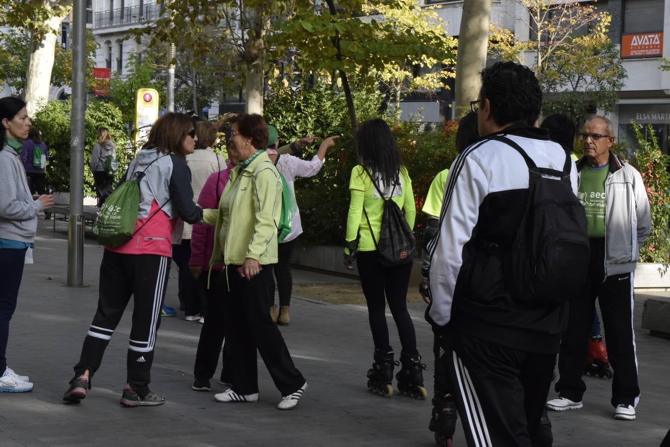 Marcha Contra el Cáncer 2015. Valladolid 4