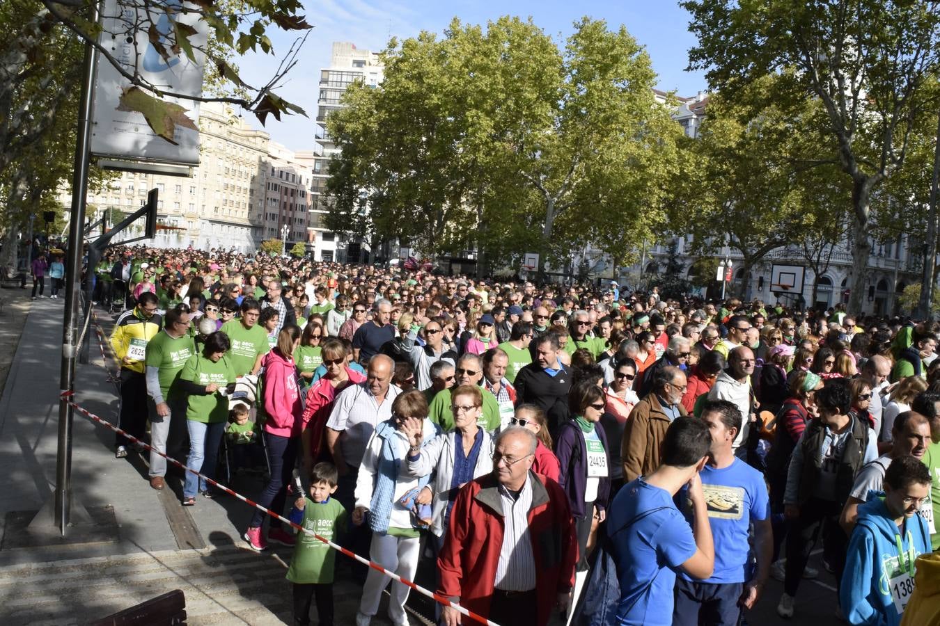 Marcha Contra el Cáncer 2015. Valladolid 4