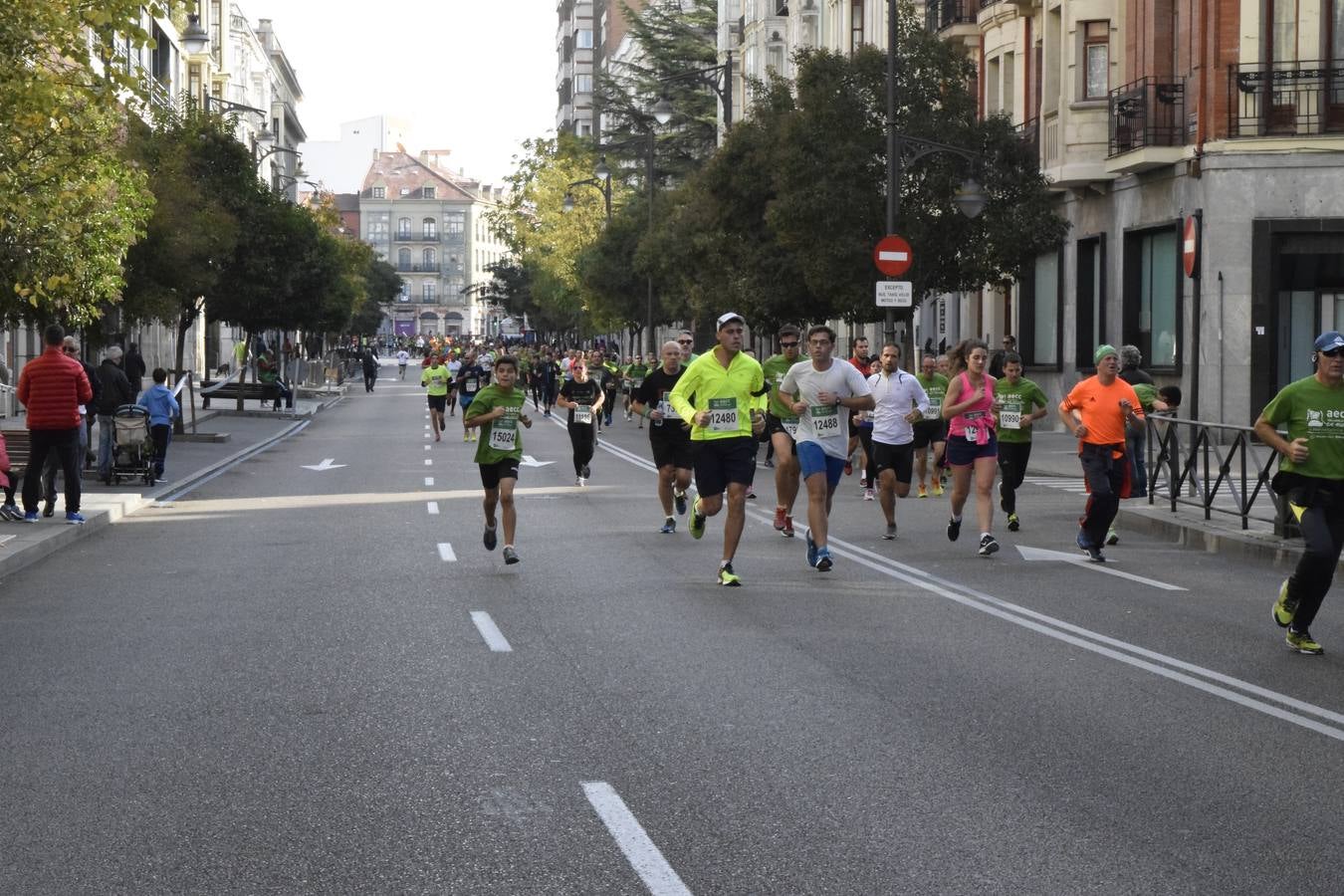 Marcha Contra el Cáncer 2015. Valladolid 6