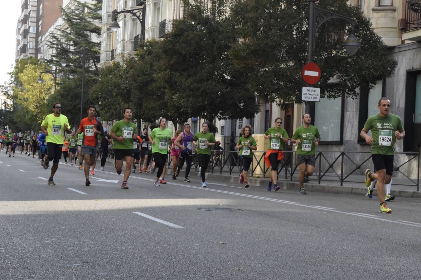 Marcha Contra el Cáncer 2015. Valladolid 6