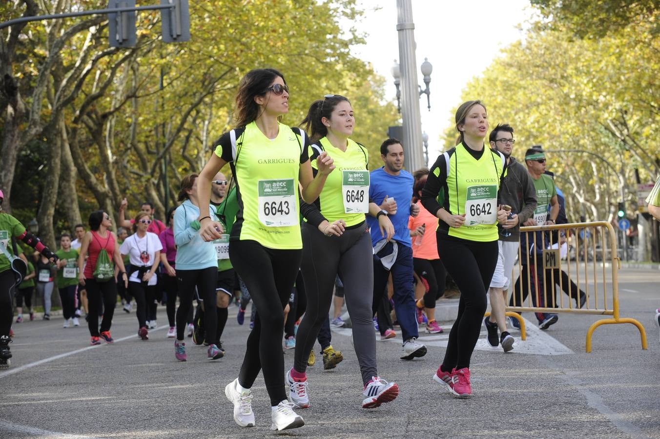 Marcha Contra el Cáncer 2015. Valladolid 12