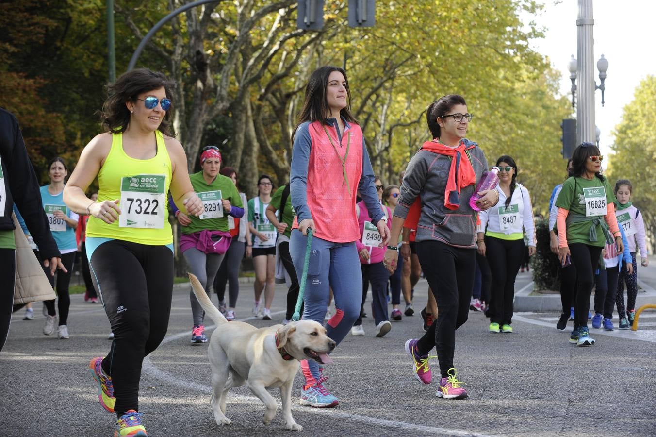 Marcha Contra el Cáncer 2015. Valladolid 12