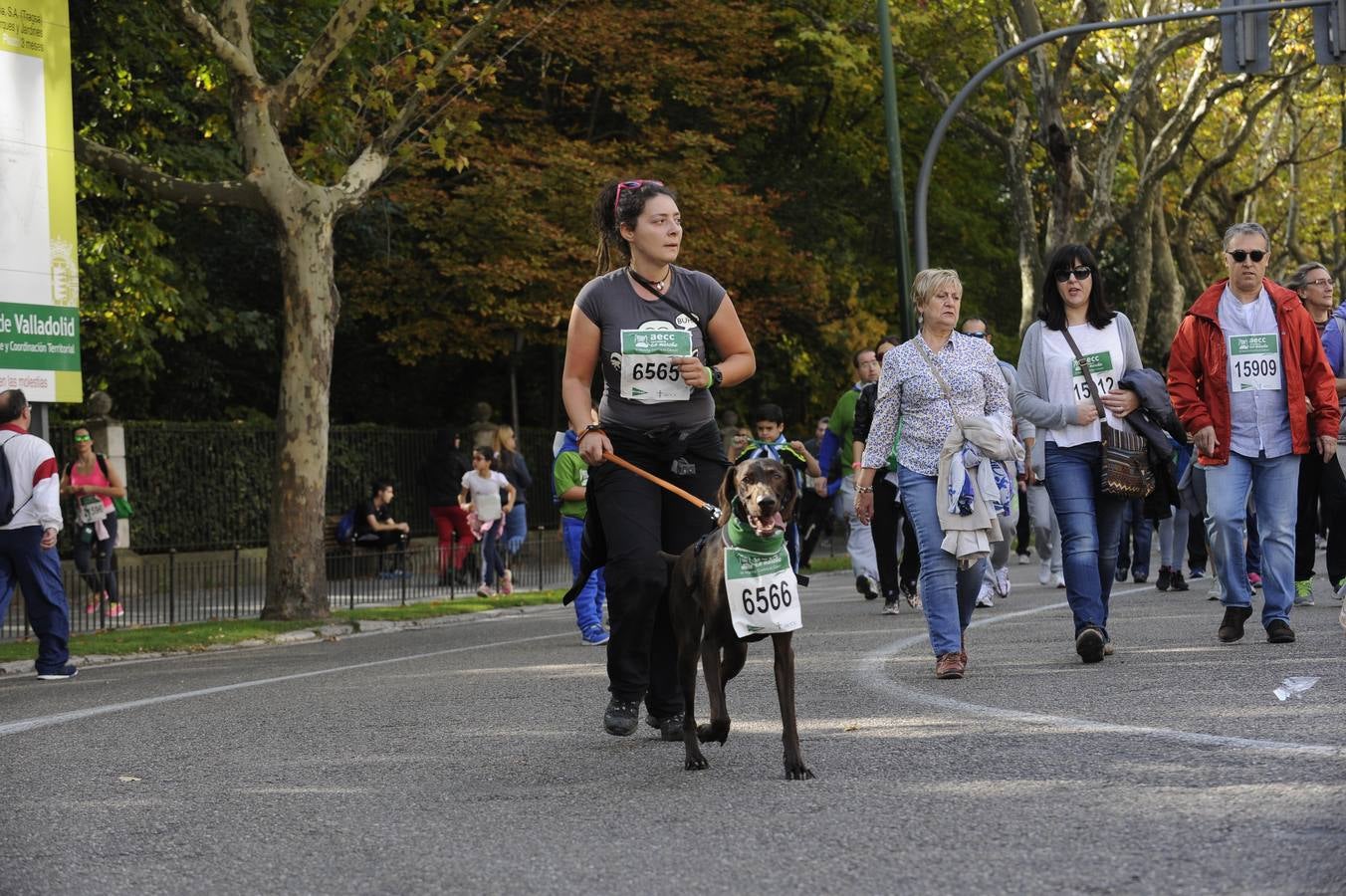 Marcha Contra el Cáncer 2015. Valladolid 13