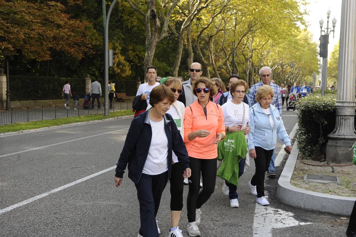 Marcha Contra el Cáncer 2015. Valladolid 14