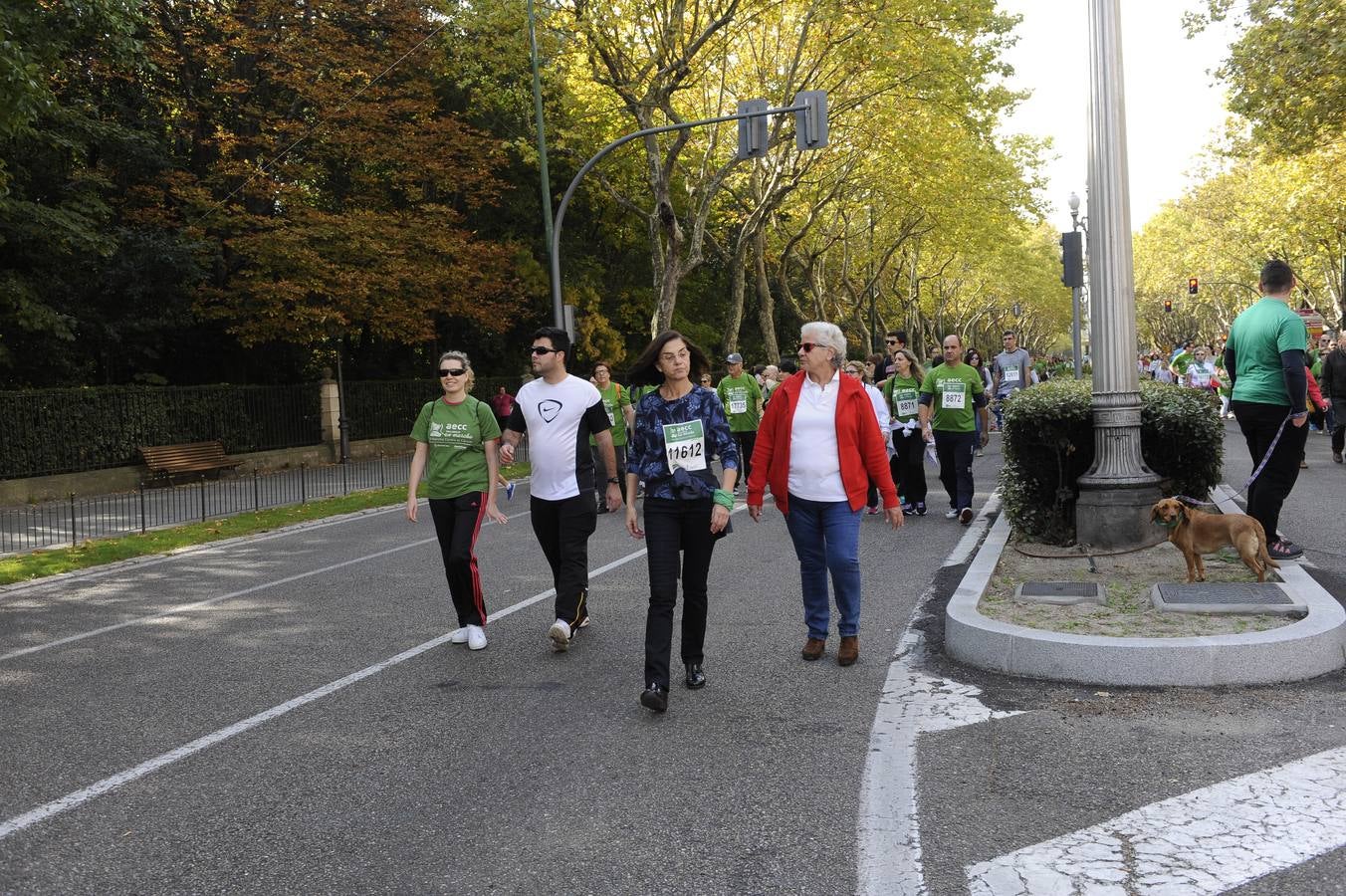 Marcha Contra el Cáncer 2015. Valladolid 14