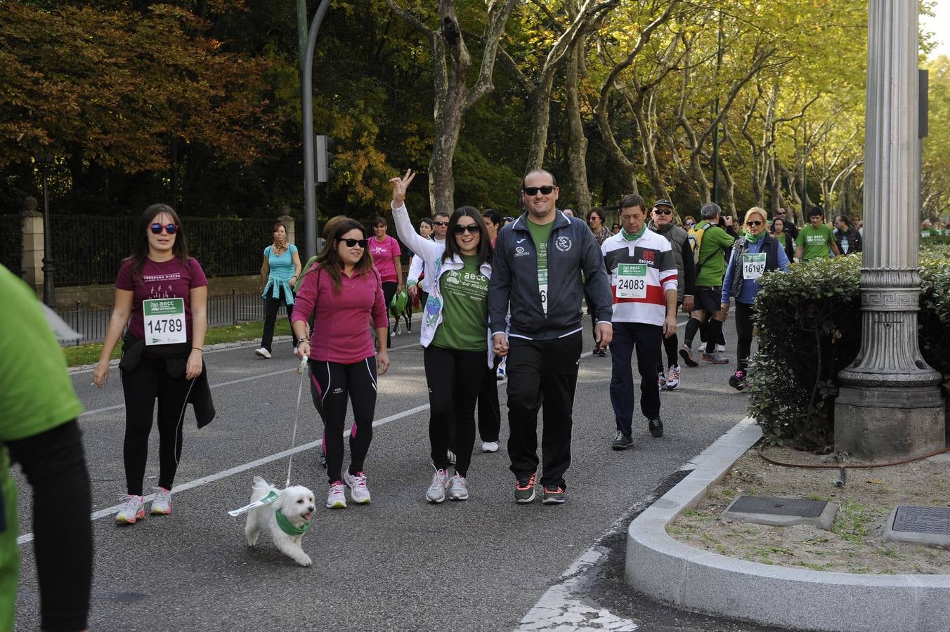 Marcha Contra el Cáncer 2015. Valladolid 15