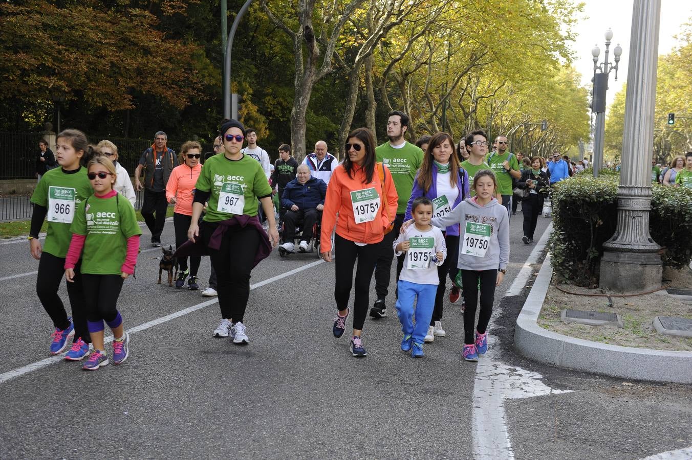 Marcha Contra el Cáncer 2015. Valladolid 16