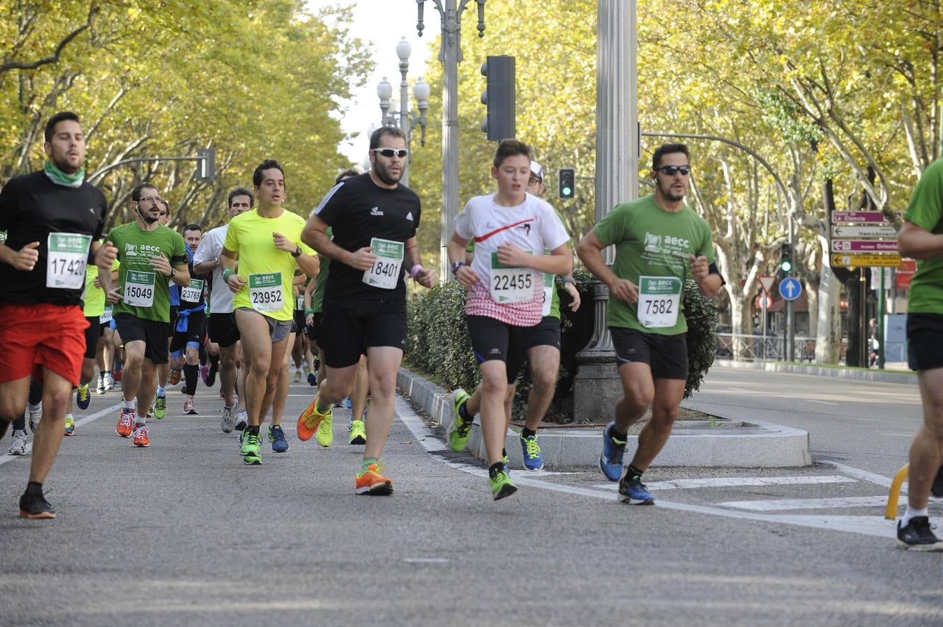 Marcha Contra el Cáncer 2015. Valladolid 17