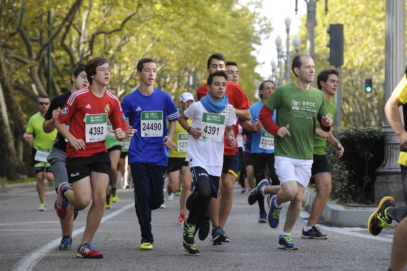 Marcha Contra el Cáncer 2015. Valladolid 17