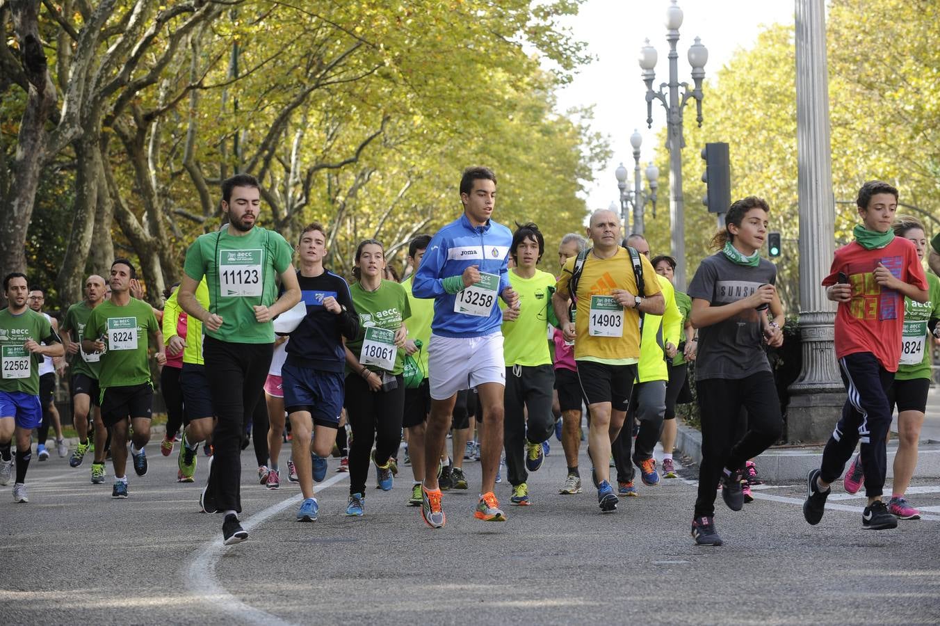 Marcha Contra el Cáncer 2015. Valladolid 18