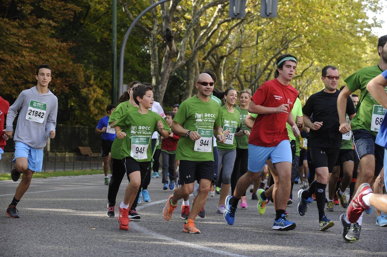 Marcha Contra el Cáncer 2015. Valladolid 18