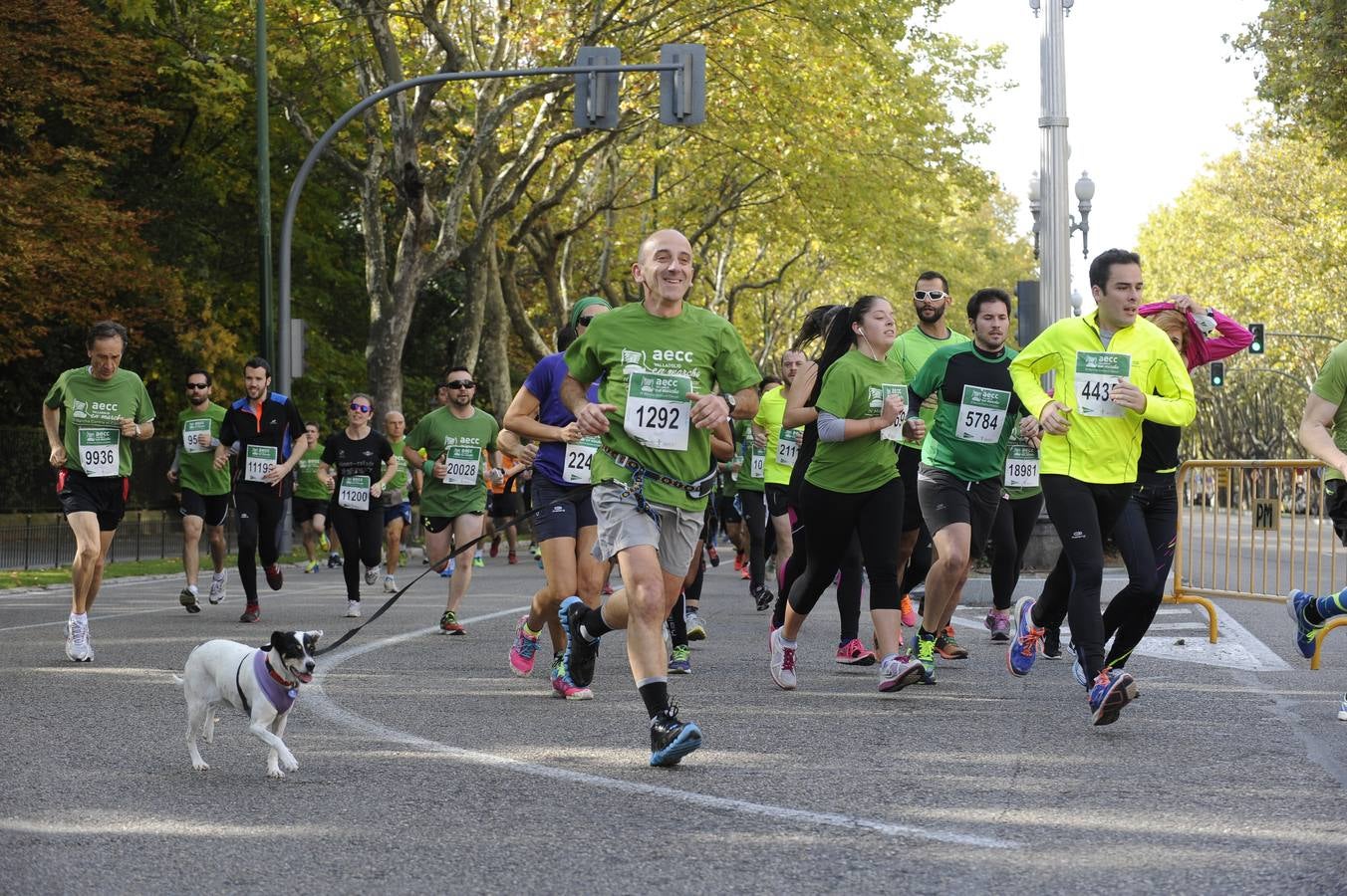 Marcha Contra el Cáncer 2015. Valladolid 18