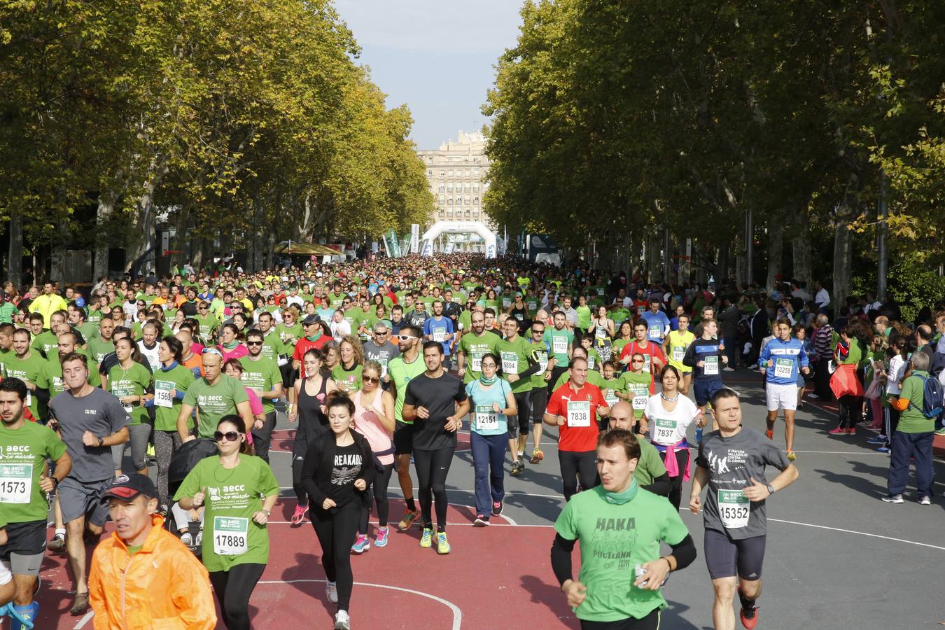 Marcha Contra el Cáncer 2015. Valladolid 21