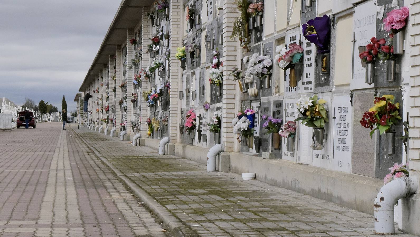 Preparativos para el Día de Todos los Santos en el cementerio de El Carmen de Valladolid