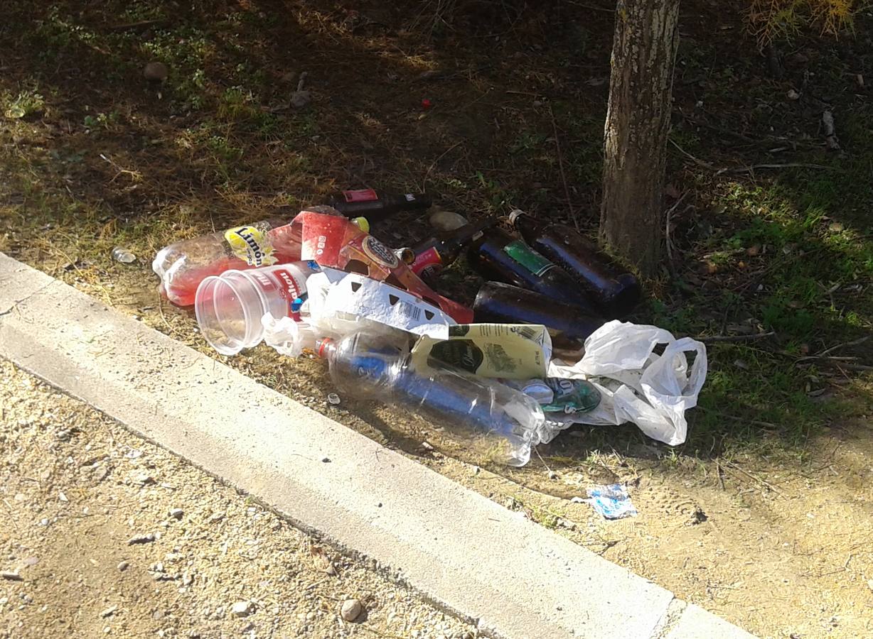 Restos de botellón en Parquesol
