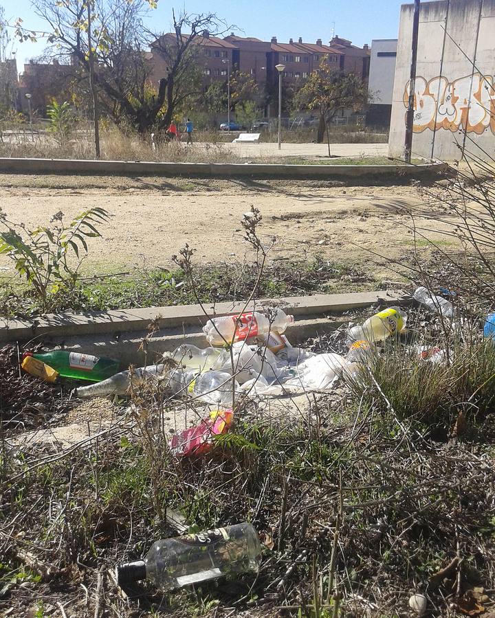 Restos de botellón en Parquesol