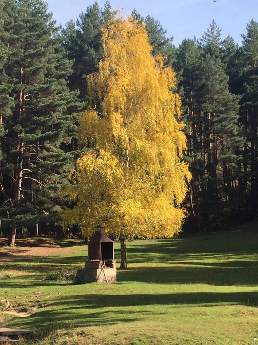Quintanar de la Sierra (Burgos).