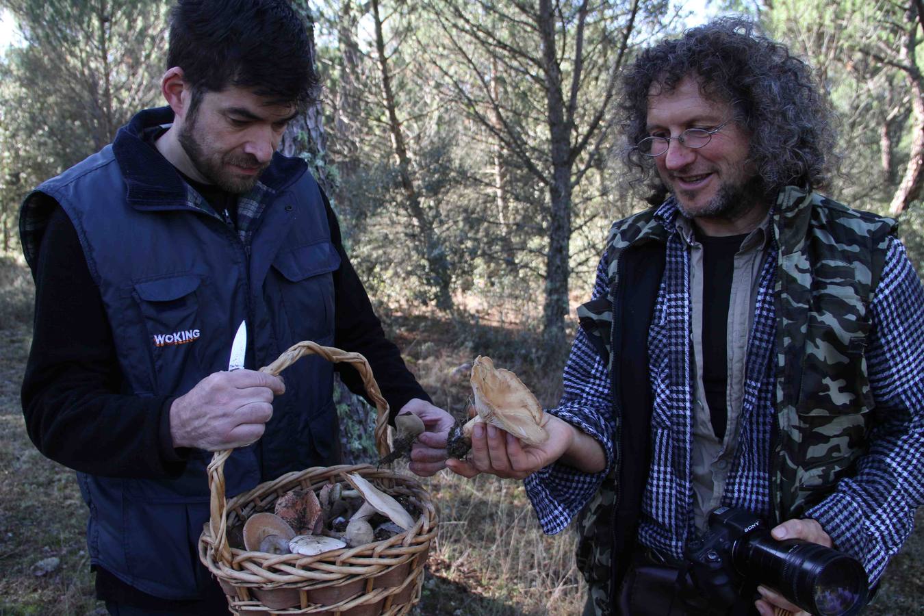 III Jornadas micológicas en Quintanilla de Onésimo (2/2)