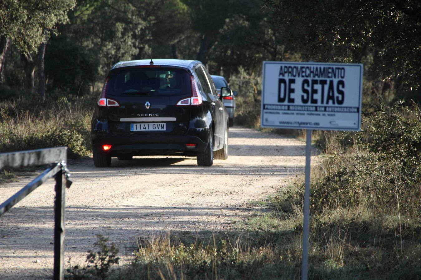 III Jornadas micológicas en Quintanilla de Onésimo (2/2)