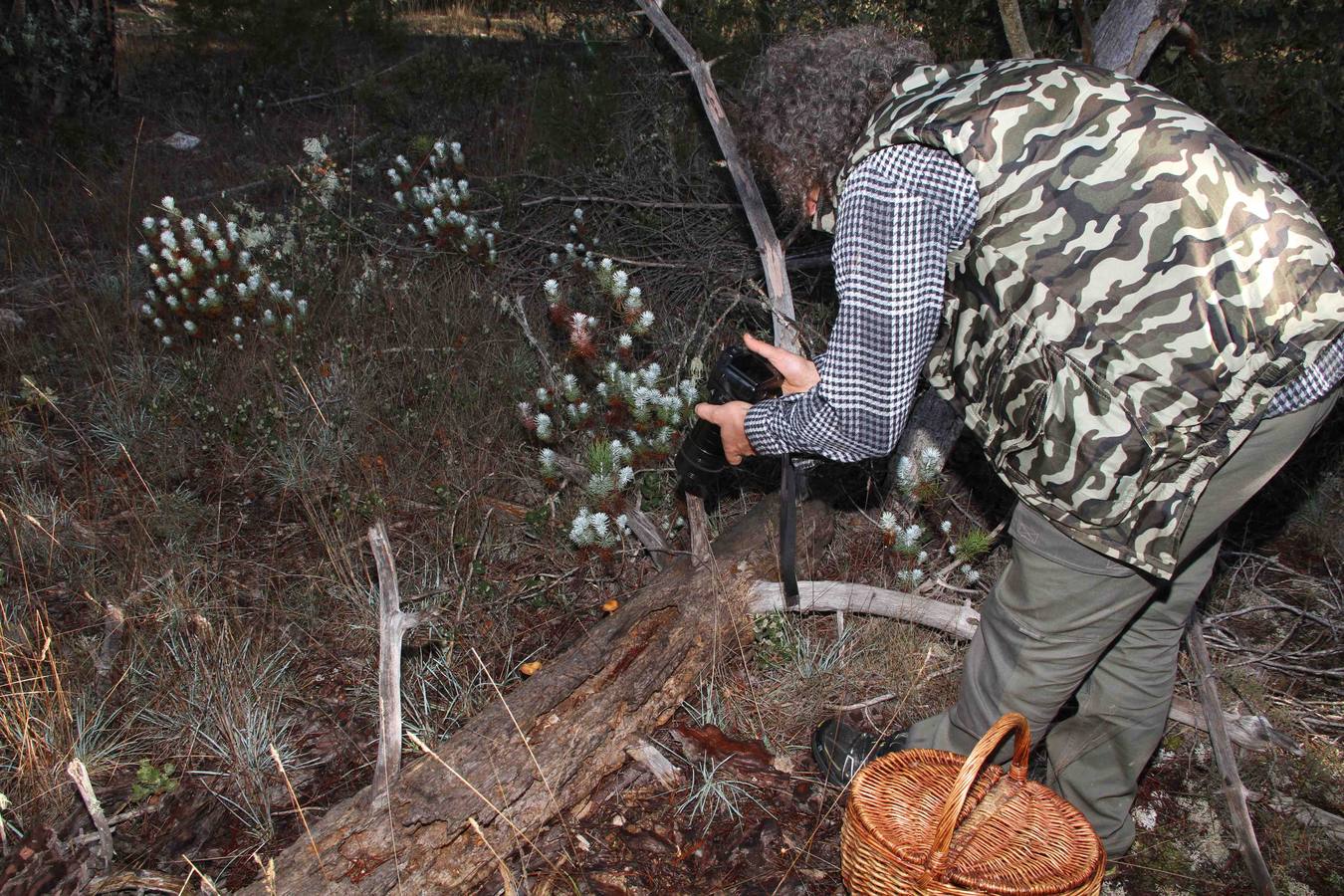 III Jornadas micológicas en Quintanilla de Onésimo (2/2)