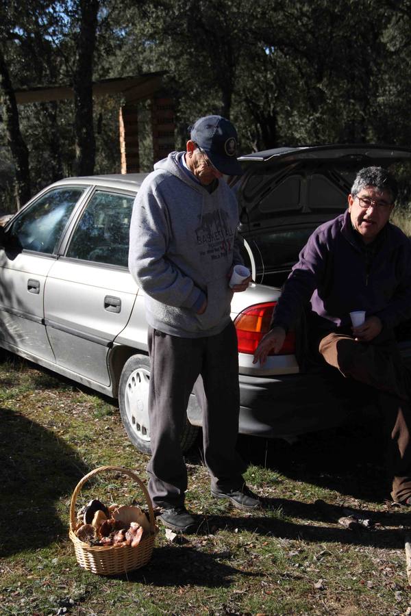 III Jornadas micológicas en Quintanilla de Onésimo (2/2)