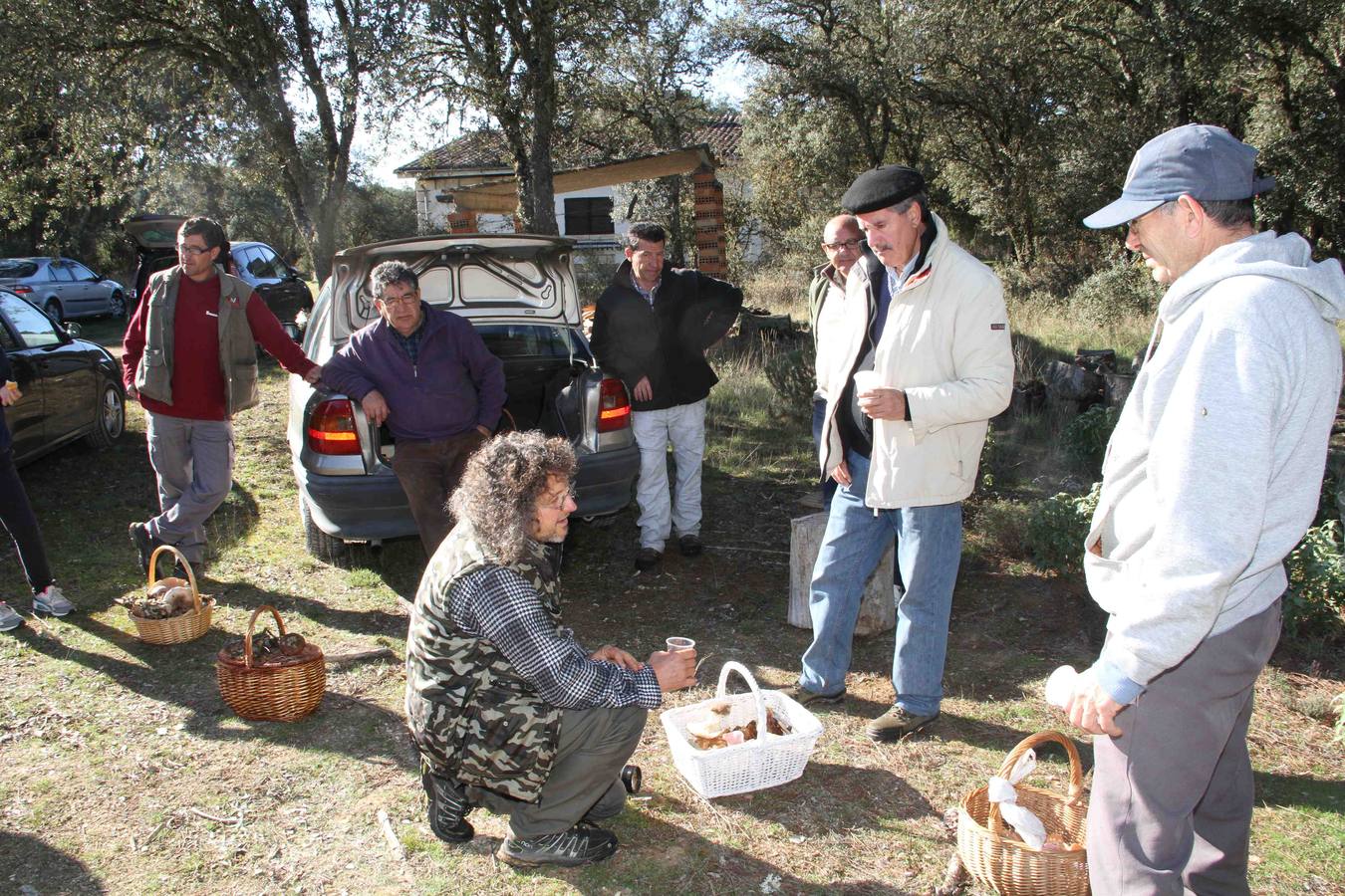 III Jornadas micológicas en Quintanilla de Onésimo (2/2)