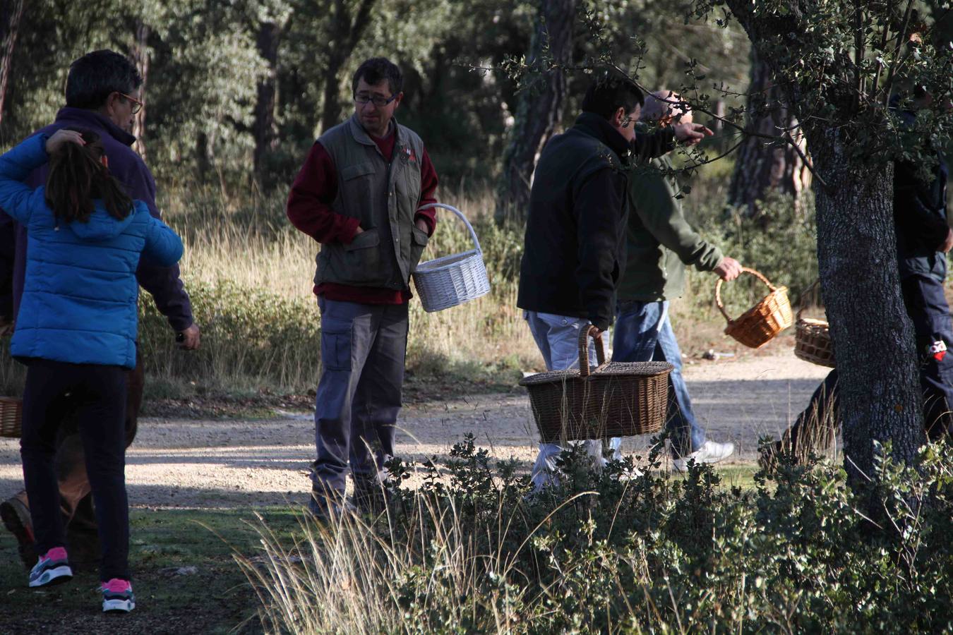 III Jornadas micológicas en Quintanilla de Onésimo (2/2)