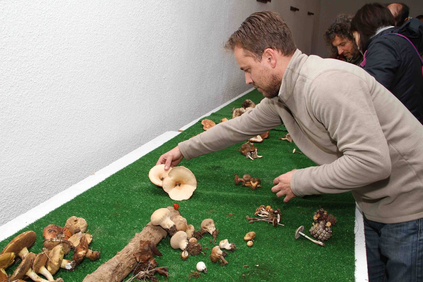 III Jornadas micológicas en Quintanilla de Onésimo (1/2)