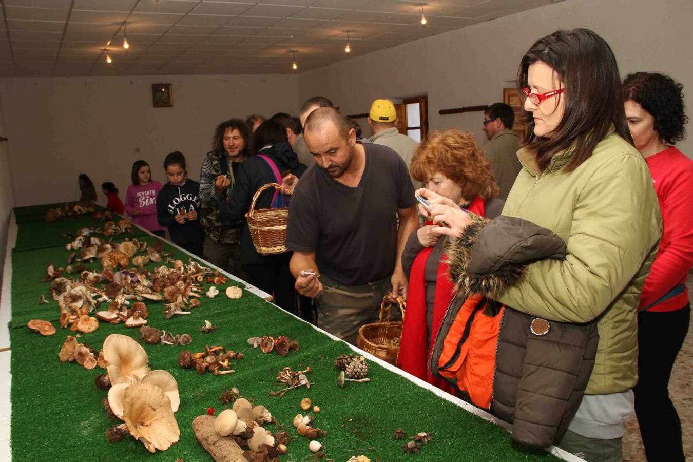 III Jornadas micológicas en Quintanilla de Onésimo (1/2)