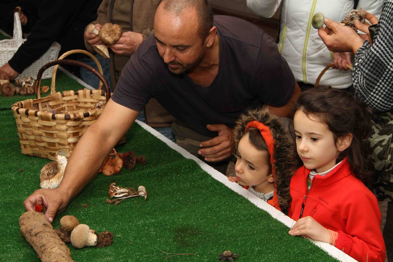 III Jornadas micológicas en Quintanilla de Onésimo (1/2)