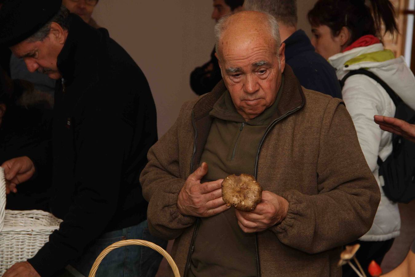 III Jornadas micológicas en Quintanilla de Onésimo (1/2)