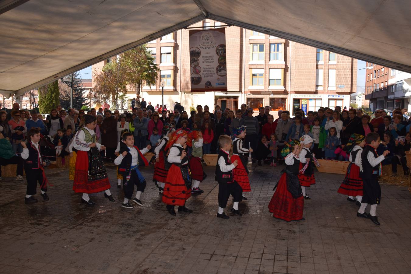 Fiesta de la matanza en Guardo (Palencia)