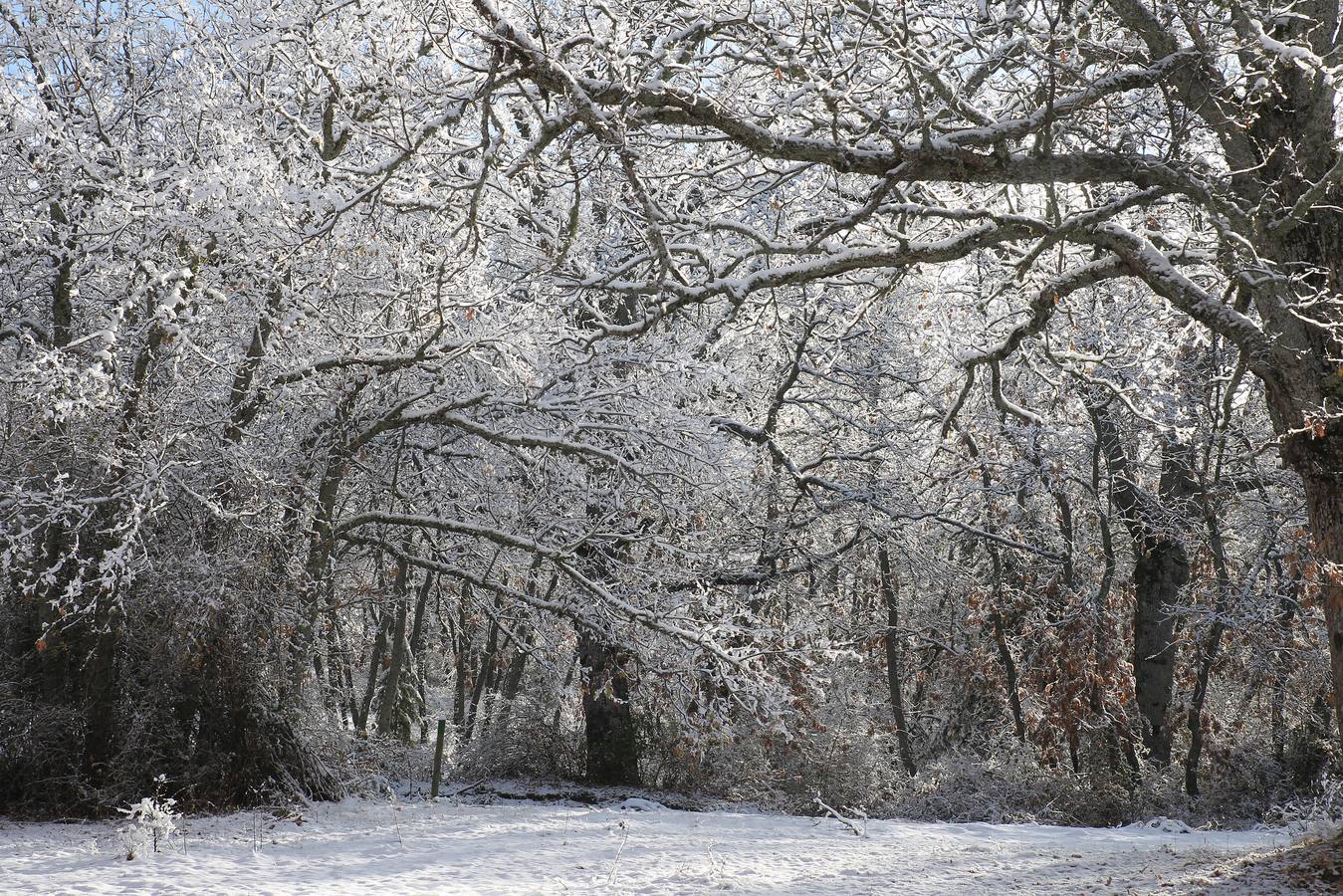 Segovia recibe las primeras nieves de la temporada