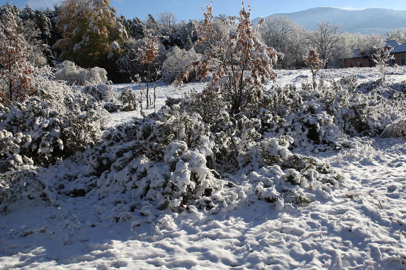 Segovia recibe las primeras nieves de la temporada