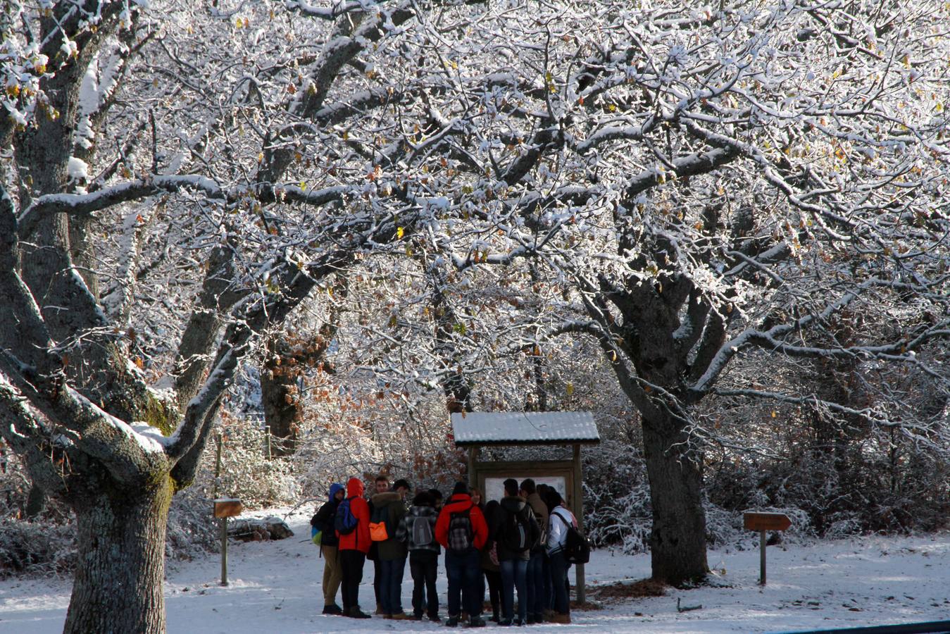 Segovia recibe las primeras nieves de la temporada