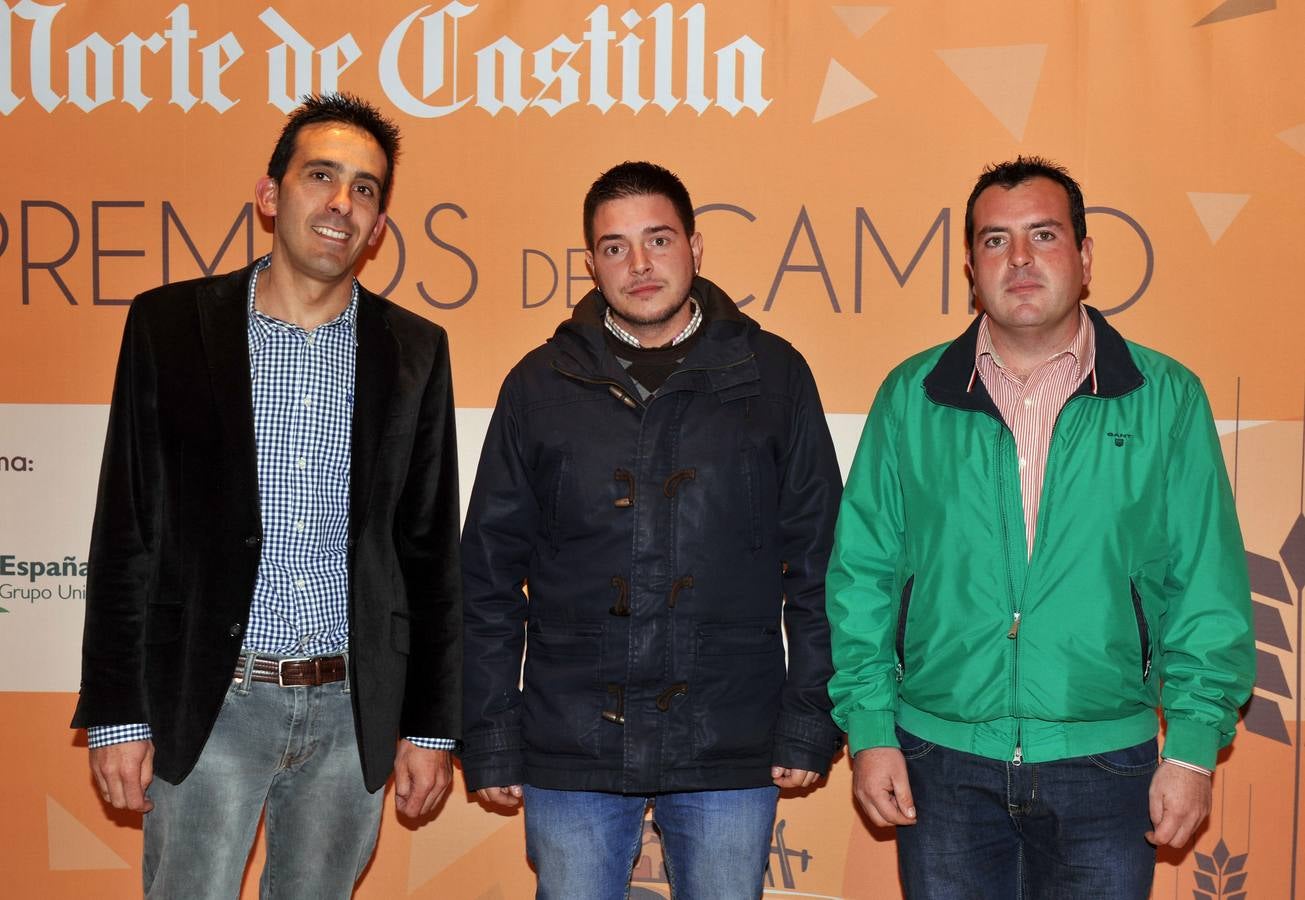 El alcalde de Castrejón, Moisés Santana; el concejal de Castrejón, Javier González; y el agricultor de la misma localidad, Mauro Santana.