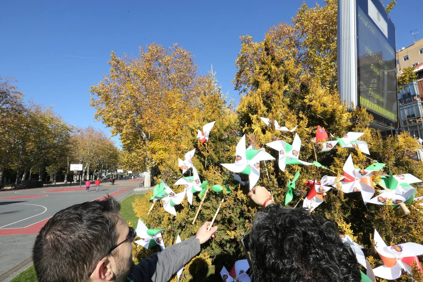 Marcha del clima 2015 en Valladolid